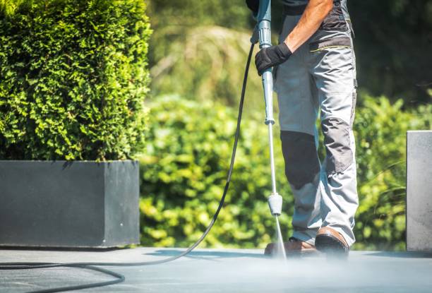 Best Sidewalk and Walkway Cleaning  in Lake Park, FL