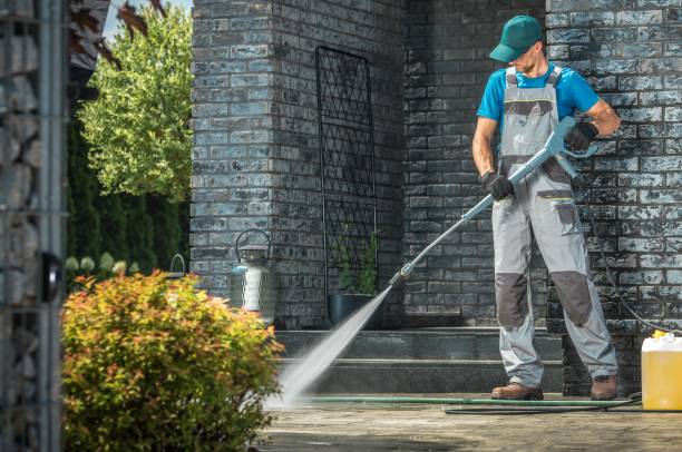 Best Solar Panel Cleaning  in Lake Park, FL
