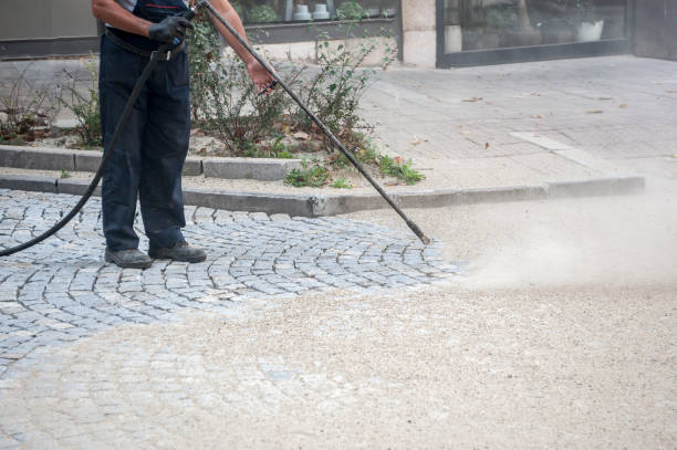 Best Patio and Deck Pressure Washing  in Lake Park, FL